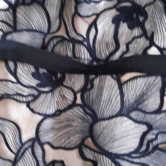 JS Collections Souctach Lace Midi Dress - Picture 6 of 10